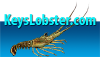 Keys Lobster